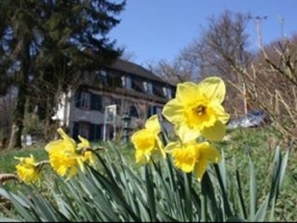 照片: Liller&amp;#039;s Historische Schlossmuhle